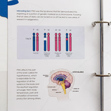 Load image into Gallery viewer, Beyond the Diagnosis - Folder and Chapter One: Understanding PWS - Birth to 3 - Subsidised price for Non-PWSA Vic members who are families living with PWS