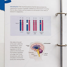 Load image into Gallery viewer, Beyond the Diagnosis - Folder and Chapter One: Understanding PWS - Birth to 3 - For health and support service professionals